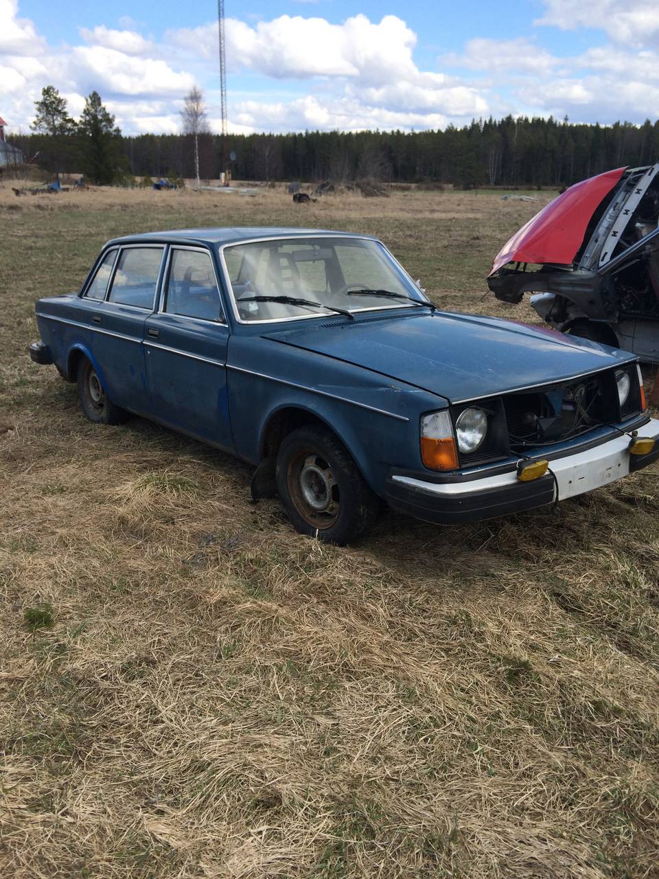 Volvo 244