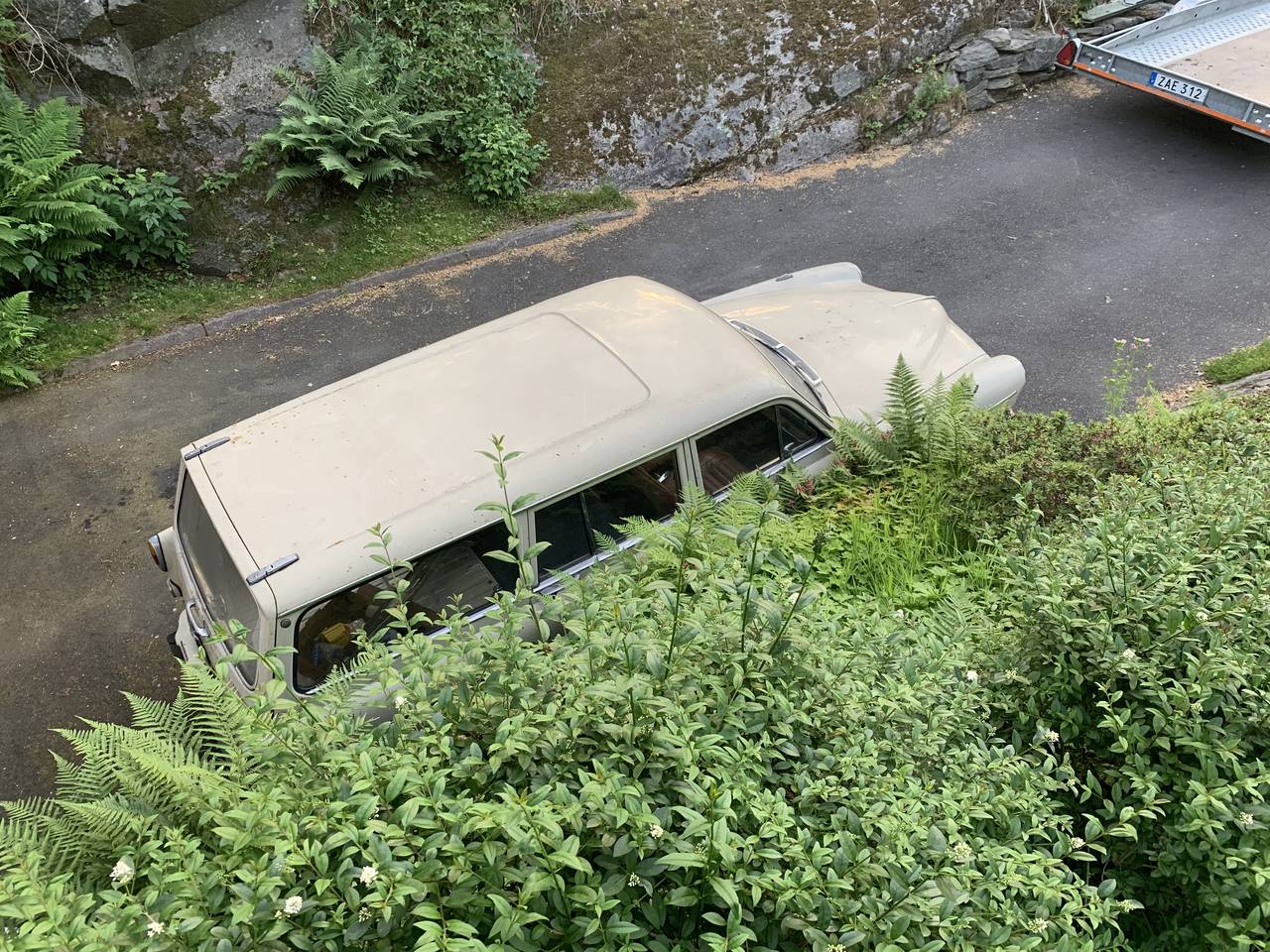 Volvo Amazon kombi