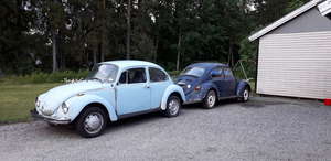 Volkswagen Typ1, KÄFER, beetle,