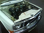 Volvo 142 DL 110