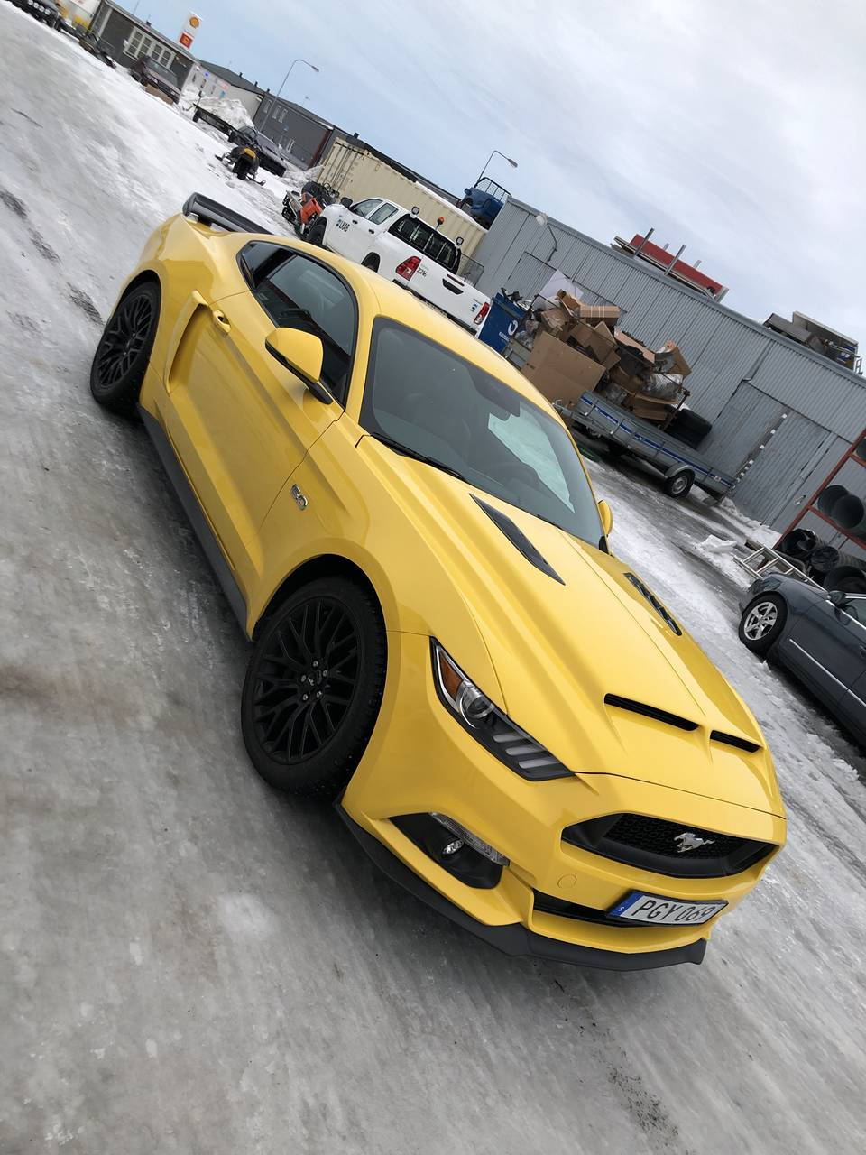 Ford Mustang GT 5.0 Fastback Premium