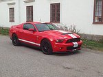 Ford Mustang Shelby Cobra