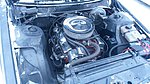 Volvo 244 V8