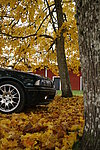 BMW 525d (E39)