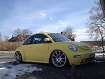 Volkswagen New Beetle