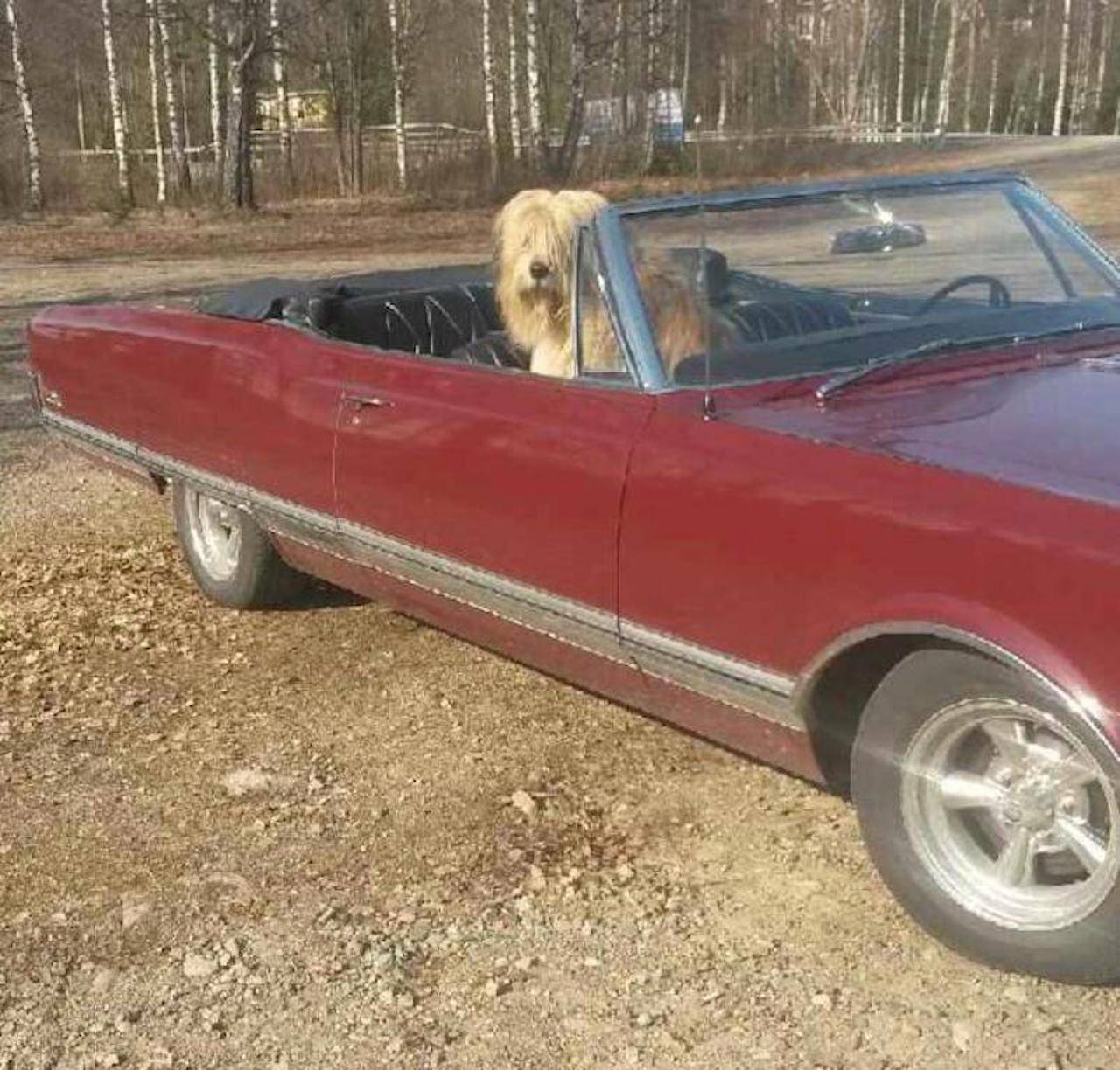 Oldsmobile ninety eight convertible