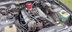 Pontiac Firebird V8
