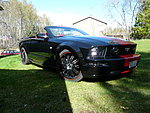 Ford mustang gt cab