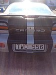 Chevrolet Camaro Targa
