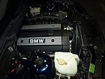 BMW 323 // M-SPORT