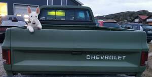 Chevrolet C10 Silverado