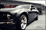 Ford Mustang gt premium,