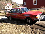 Volvo 244 GL(T)