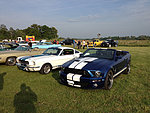 Ford Mustang Shelby GT 500 cab