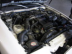 Toyota Supra Turbo