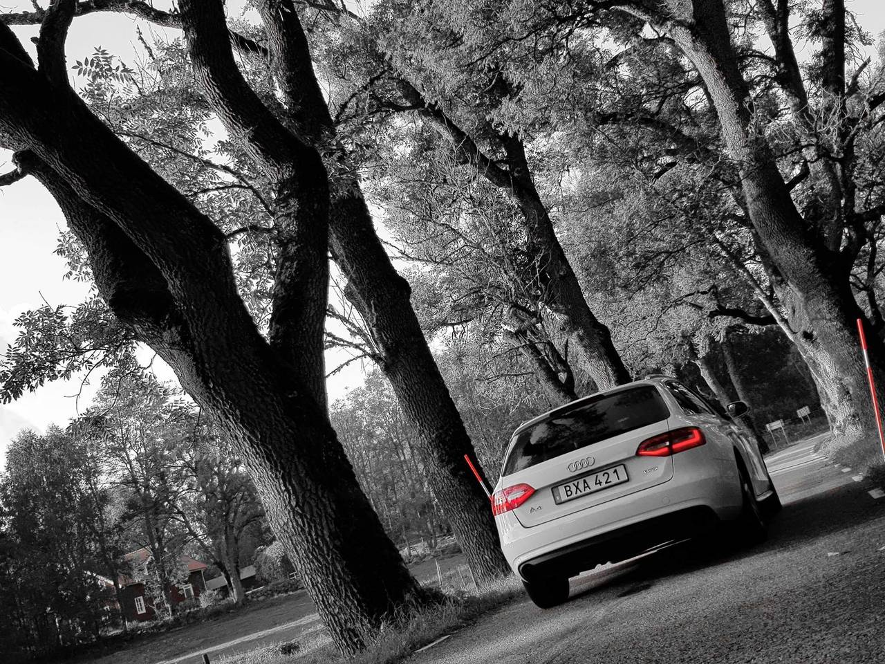 Audi A4 B8