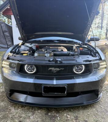 Ford Mustang GT Coupe 5.0