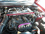 Toyota Supra MKIV N/A