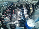 Datsun 120y b310