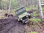 Jeep Willys CJ3A