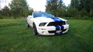 Ford Shelby GT 500 Cab