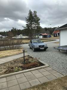 Volvo 244 DL