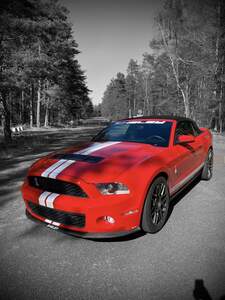 Ford Shelby GT-500