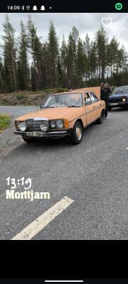 Mercedes 220 D
