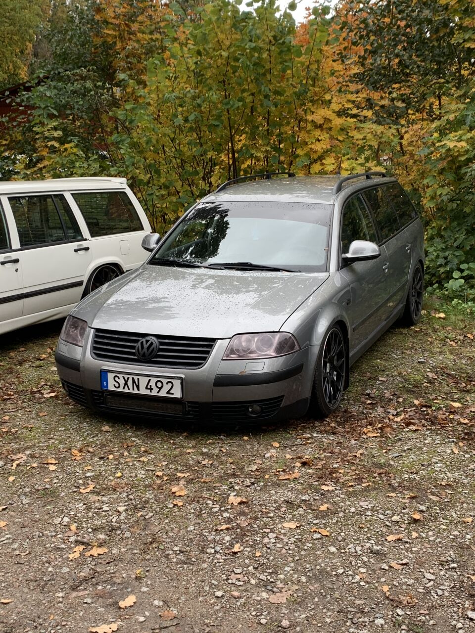 Volkswagen passat 3bg