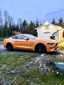Ford Mustang GT Magneride M6