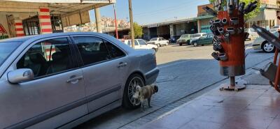 Mercedes E200 Komp. Classic