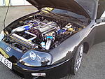 Toyota Supra Euro Carbon Twin Turbo
