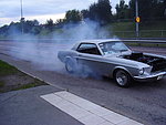 Ford mustang-67 HT