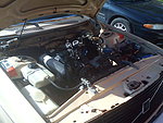 Volvo 244 turbodiesel