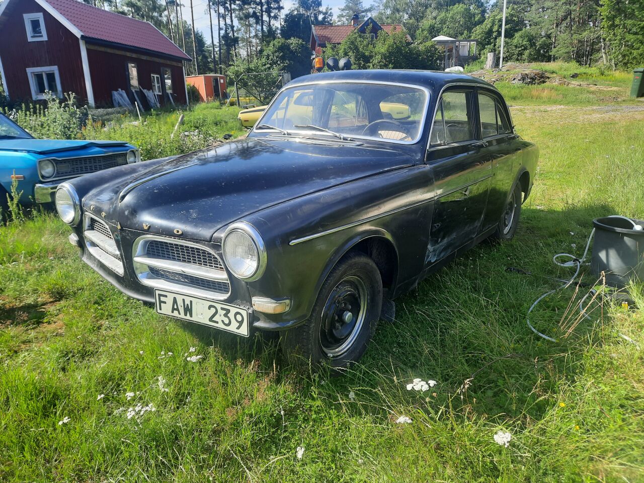 Volvo Amazon sport