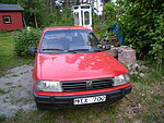 Peugeot 309 Profil