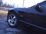 Ford Mustang GT 4,6L