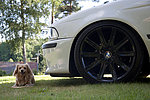 BMW 523 Alpinvit M-sport