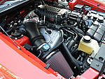 Ford SVT Mustang Cobra Convertible