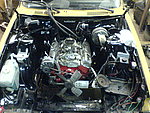 Volvo 245 V8