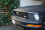 Ford Mustang v6