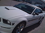 Ford Mustang california