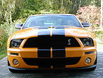 Ford mustang shelby gt 500
