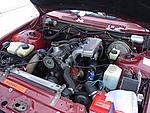 Volvo 244 turbo