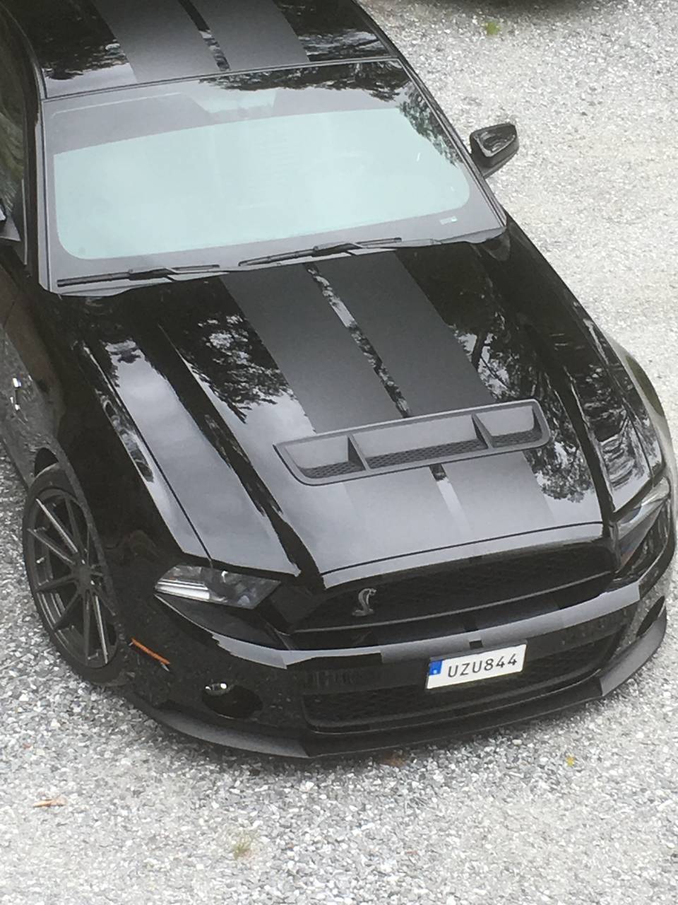Ford Mustang Gt Shelby 500