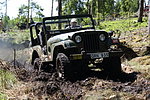 Jeep Willys M38A1
