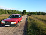 Volvo 244 GLT / Turbo