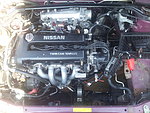 Nissan Primera GT p11