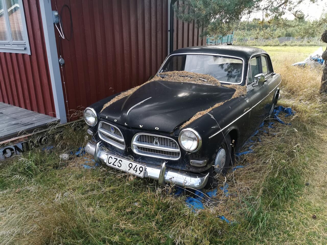 Volvo Amazon