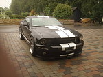 Ford Mustang Gt500 Shelby